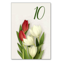 Florentijnse tulpen