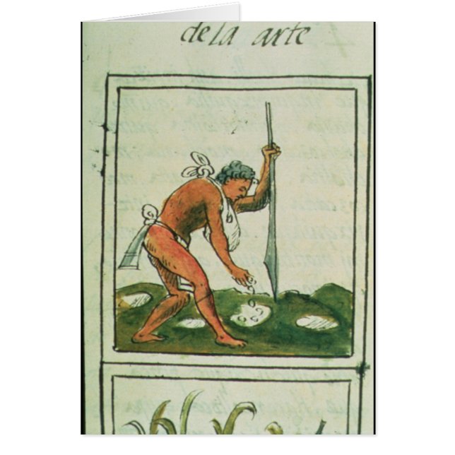 Florentine Codex' door Bernardino de Sahagun (Voorkant)