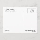 Flores Anturio Briefkaart (Achterkant)