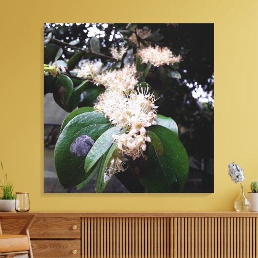 flores brancas1 canvas afdruk (Insitu (Woonkamer))