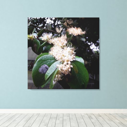 flores brancas1 canvas afdruk (Insitu (Houten vloer))