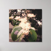 flores brancas3 canvas afdruk (Voorkant)