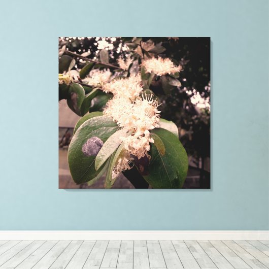 flores brancas3 canvas afdruk (Insitu (Houten vloer))