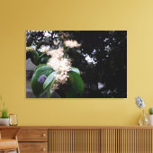 flores brancas canvas afdruk (Insitu (Woonkamer))