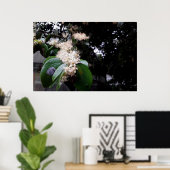 flores brancas poster (Thuiskantoor)