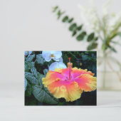 Flores. Briefkaart (Staand voorkant)