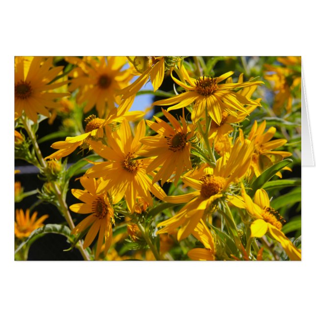 Flores en mi hierbas bloemen in mijn onkruid (Voorkant Horizontaal)