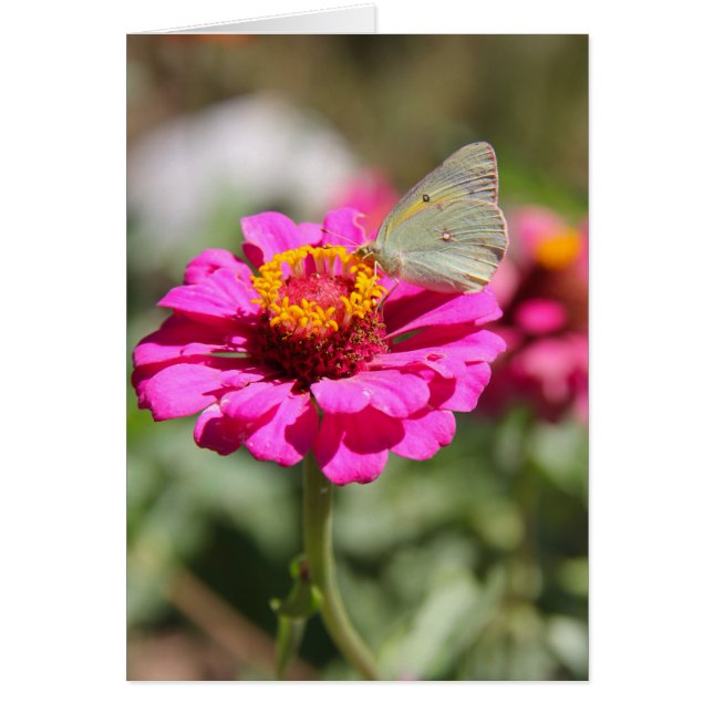 Flores en mi hierbas bloemen in mijn onkruid (Voorkant)