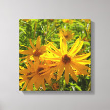 Flores en mi hierbas bloemen in mijn onkruid