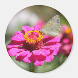 Flores en mi hierbas bloemen in mijn onkruid magneet