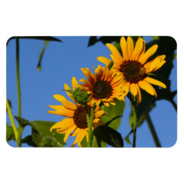 Flores en mi hierbas bloemen in mijn onkruid magneet