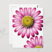 flores gérbera briefkaart (Voorkant / Achterkant)