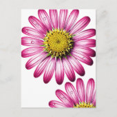 flores gérbera briefkaart (Voorkant)