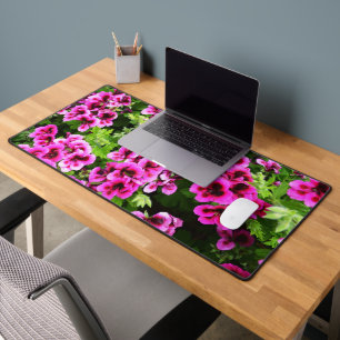 "Flores vives : Geraniums roses chauds sur Bush lu