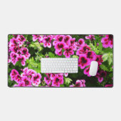 "Flores vives : Geraniums roses chauds sur Bush lu (Clavier et souris)