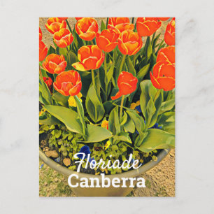 Floriade Canberra Australia flower tulip festival Briefkaart