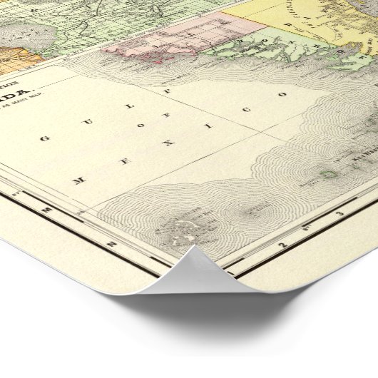 Florida 11 poster (Hoek)