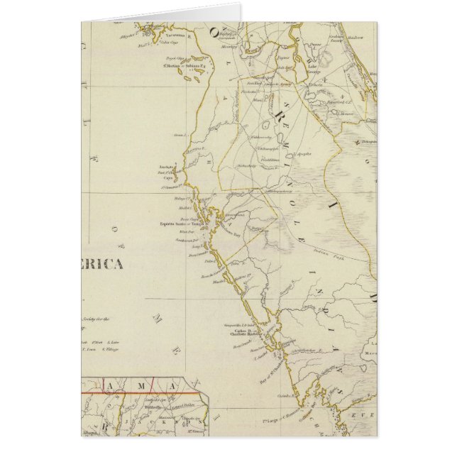 Florida 12 (Voorkant)