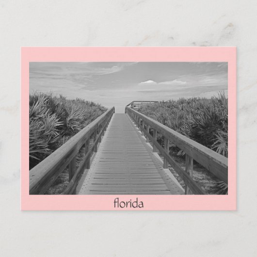 florida 123 , florida briefkaart (Voorkant)
