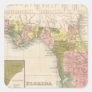 Florida 12 vierkante sticker