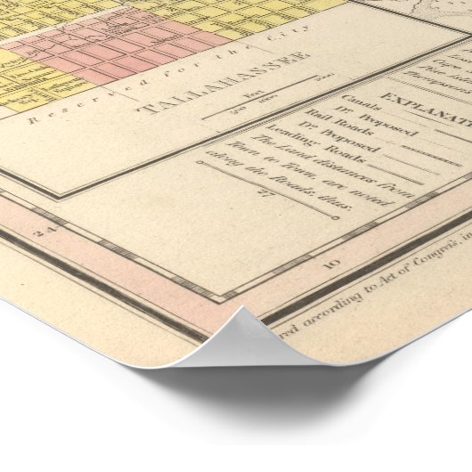 Florida 13 poster (Hoek)