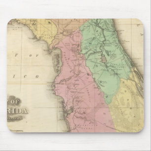 Florida 4 muismat