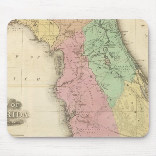 Florida 4 muismat (Voorkant)