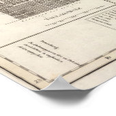 Florida 8 poster (Hoek)