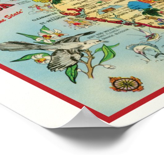 Florida 8x10 met Border Poster Print (Hoek)