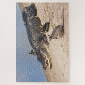 Florida Alligator met dieren. Alligatorbuffer Legpuzzel (Verticaal)