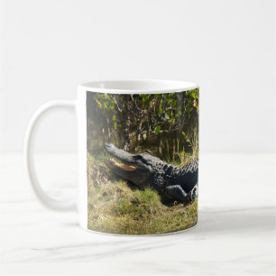 Florida-alligator op grazige oever – Wilde moeras Koffiemok
