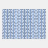 Florida Animals Wrapping Paper  (Voorkant)