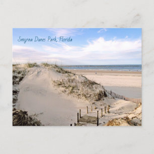 Florida Beach Dunes Park Ponce Inlet Briefkaart