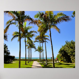 FLORIDA BEACH PALM TREPICAL PARK POSTER