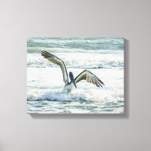 Florida Beach Pelican Canvas Afdruk (Voorkant)