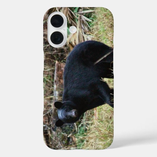 Florida Black Bear Case-Mate iPhone Case (Achterkant)