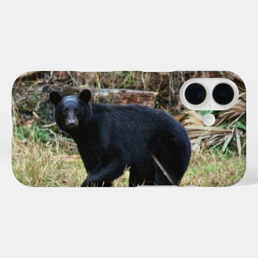 Florida Black Bear Case-Mate iPhone Case (Achterkant (horizontaal))