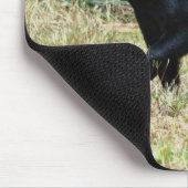 Florida Black Bear Muismat (Hoek)