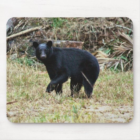 Florida Black Bear Muismat (Voorkant)