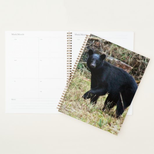 Florida Black Bear Planner (Display)