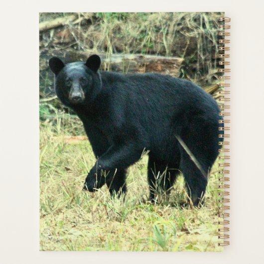 Florida Black Bear Planner (Achterkant)
