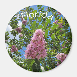 Florida bloesems magneet