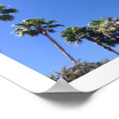 Florida Blue Sky Poster (Hoek)