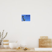 Florida Blue Sky Poster (Keuken)