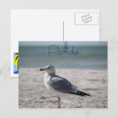 Florida Briefkaart (Voorkant / Achterkant)