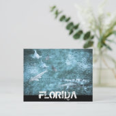 FLORIDA BRIEFKAART (Staand voorkant)