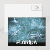FLORIDA BRIEFKAART (Voorkant / Achterkant)