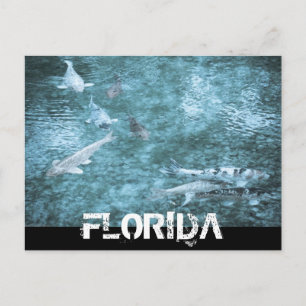 FLORIDA BRIEFKAART