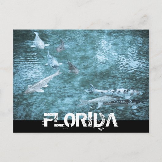 FLORIDA BRIEFKAART (Voorkant)