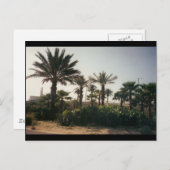 Florida Briefkaart (Voorkant / Achterkant)